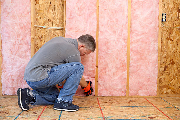 Best DIY Insulation Kits and Guidance in Spearfish, SD